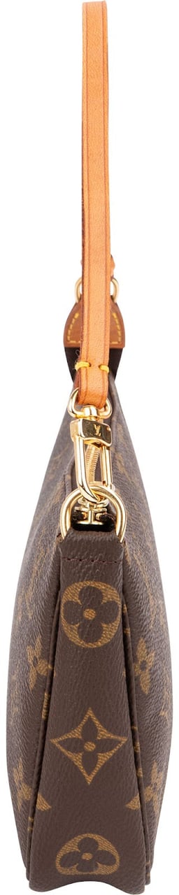 Louis Vuitton Monogram Canvas Pochette Accessoires Handbag Bruin