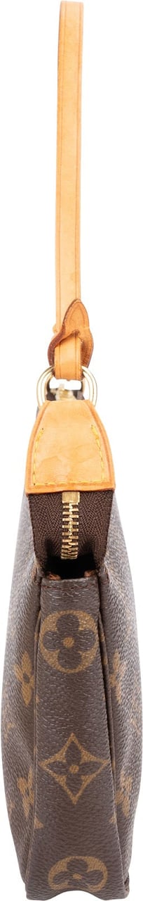 Louis Vuitton Monogram Canvas Pochette Accessoires Handbag Bruin
