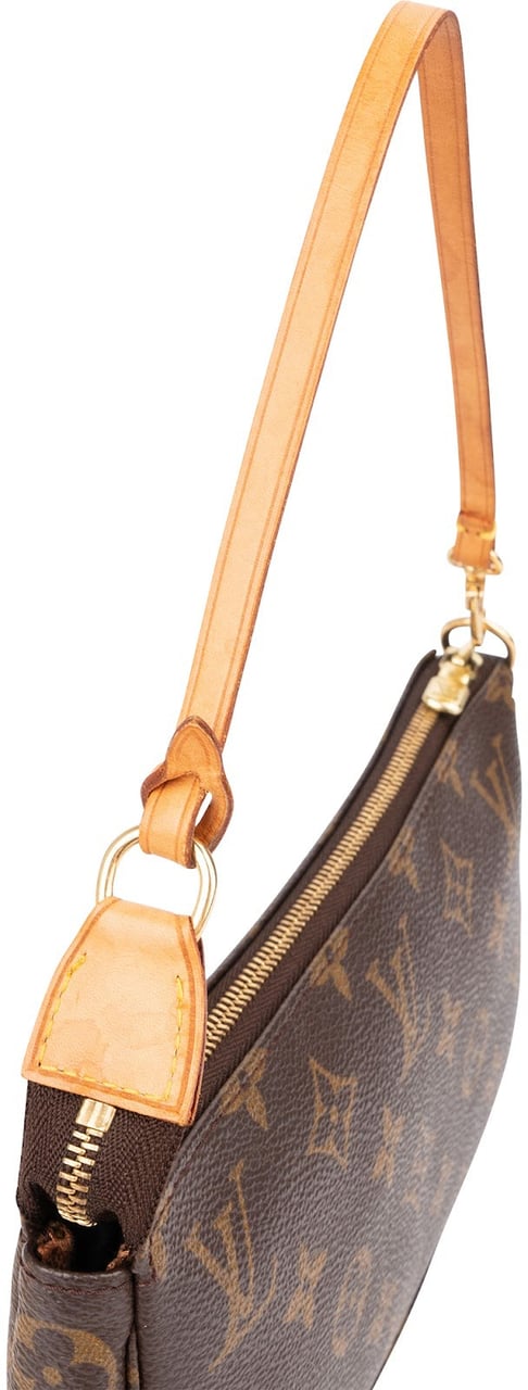 Louis Vuitton Monogram Canvas Pochette Accessoires Handbag Bruin