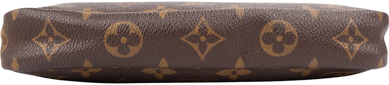 Louis Vuitton Monogram Canvas Pochette Accessoires Handbag Bruin
