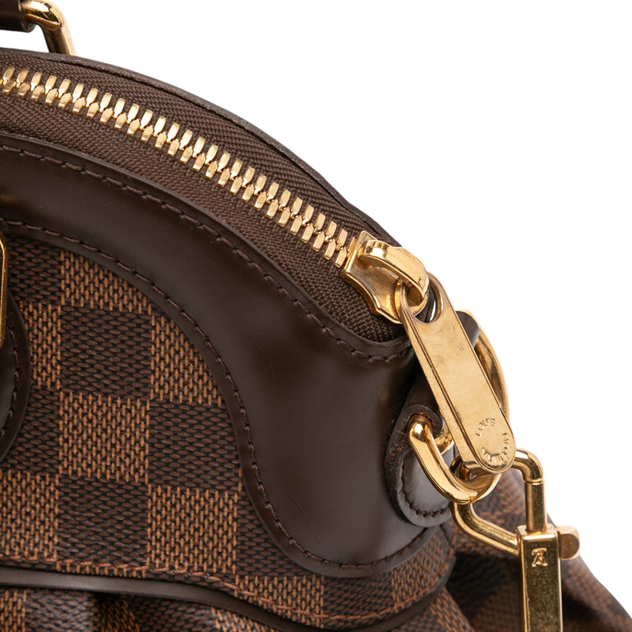 Louis Vuitton Damier Ebene Trevi PM Bruin