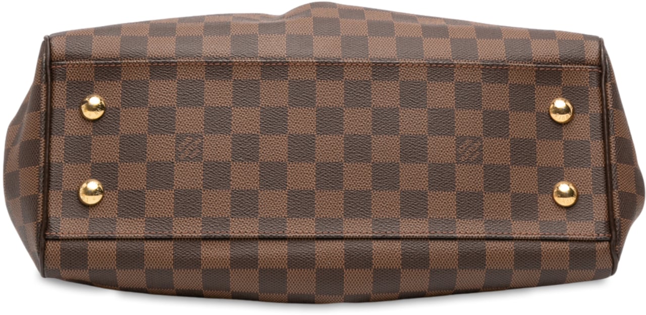 Louis Vuitton Damier Ebene Trevi PM Bruin