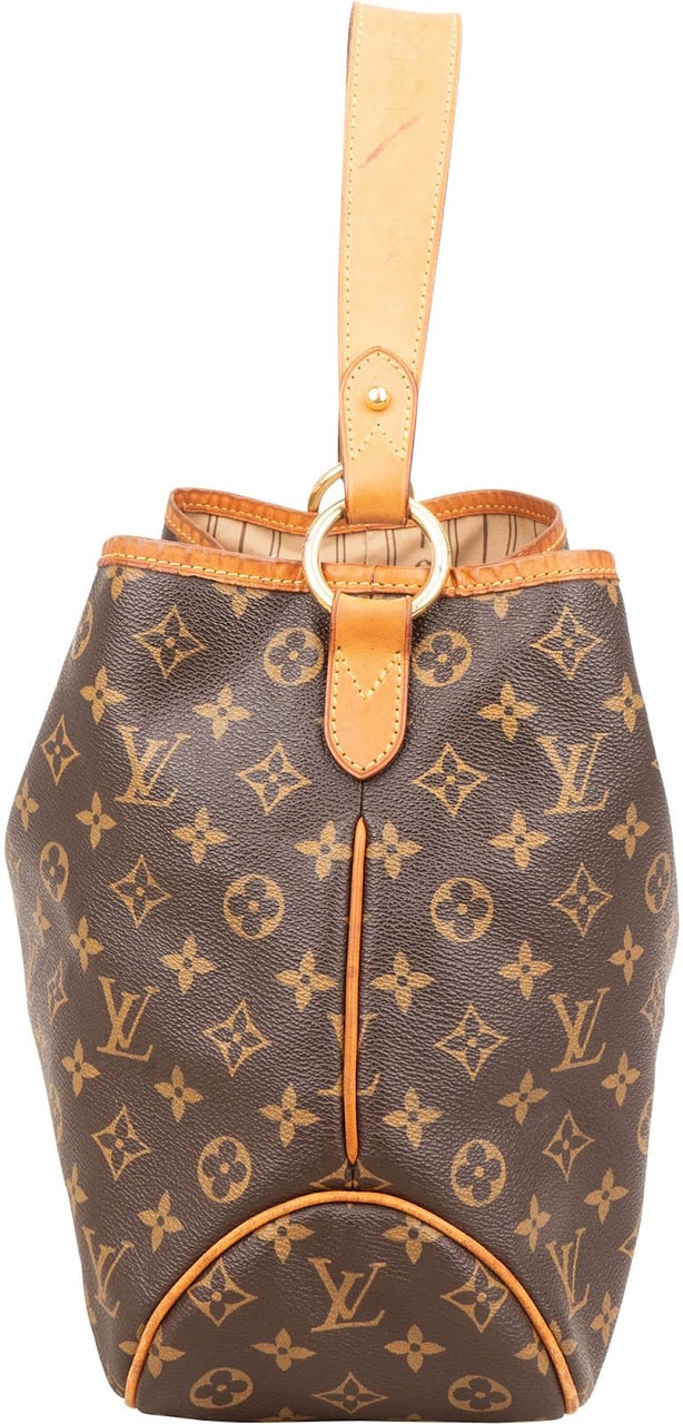Louis Vuitton Monogram Canvas Delightful PM Shoulder Bag Bruin