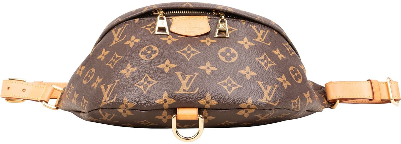 Louis Vuitton Monogram Canvas Bumbag Crossbody Bag Bruin