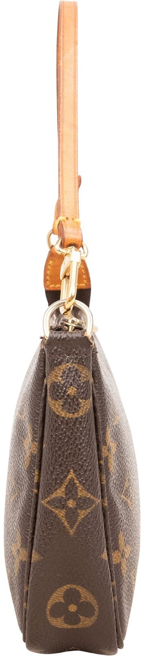 Louis Vuitton Monogram Canvas Pochette Accessoires Handbag Bruin