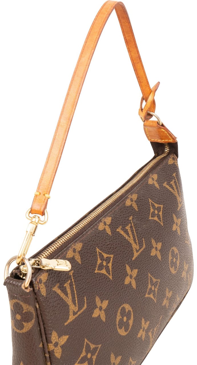 Louis Vuitton Monogram Canvas Pochette Accessoires Handbag Bruin