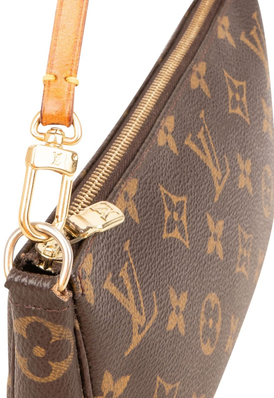 Louis Vuitton Monogram Canvas Pochette Accessoires Handbag Bruin