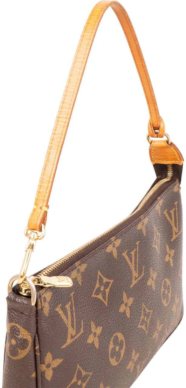 Louis Vuitton Monogram Canvas Pochette Accessoires Handbag Bruin