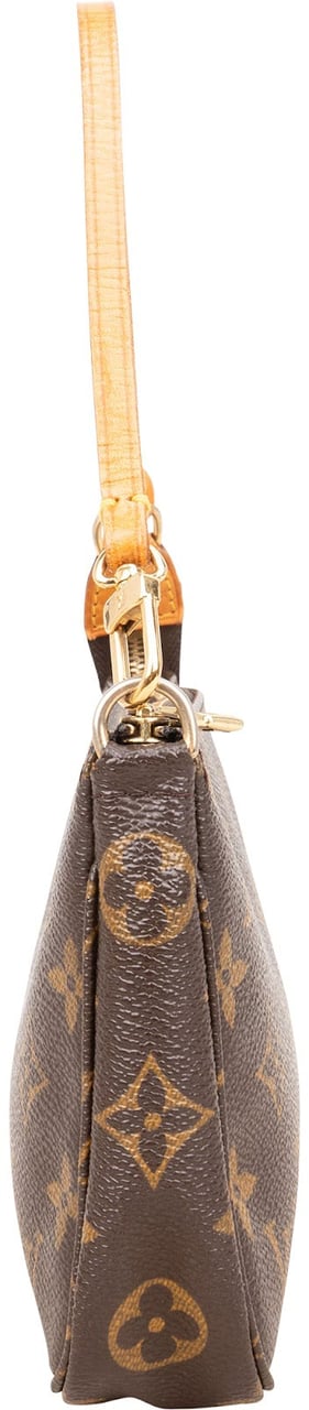 Louis Vuitton Monogram Canvas Pochette Accessoires Handbag Bruin