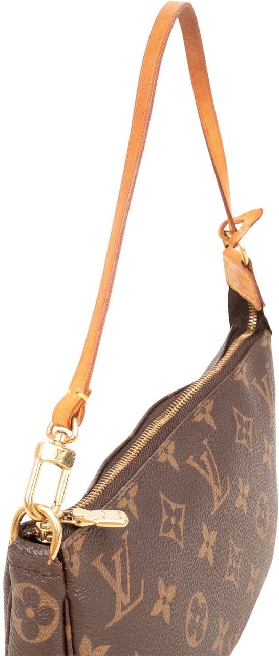 Louis Vuitton Monogram Canvas Pochette Accessoires Handbag Bruin