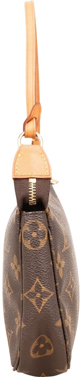 Louis Vuitton Monogram Canvas Pochette Accessoires Handbag Bruin