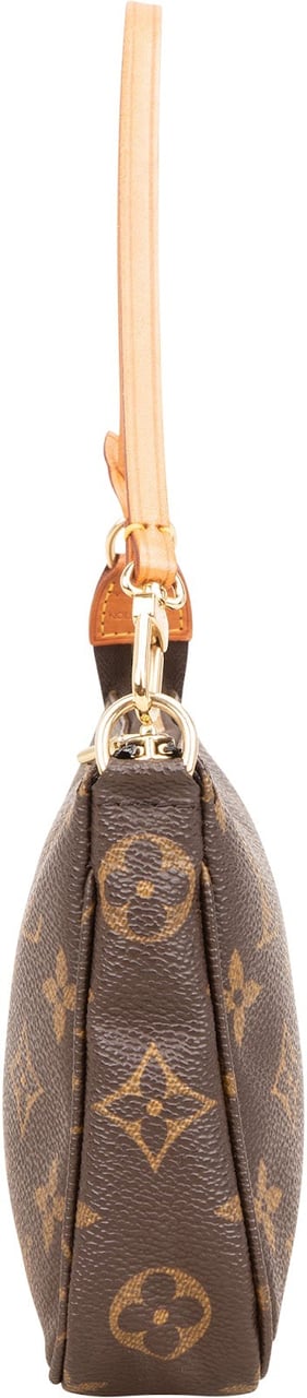 Louis Vuitton Monogram Canvas Pochette Accessoires Handbag Bruin