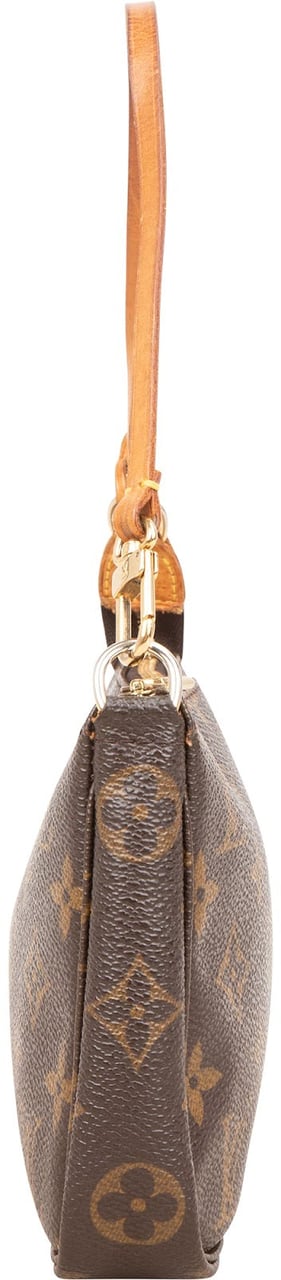 Louis Vuitton Monogram Canvas Pochette Accessoires Handbag Bruin