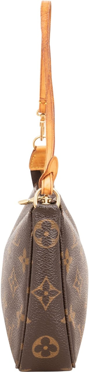 Louis Vuitton Monogram Canvas Pochette Accessoires Handbag Bruin