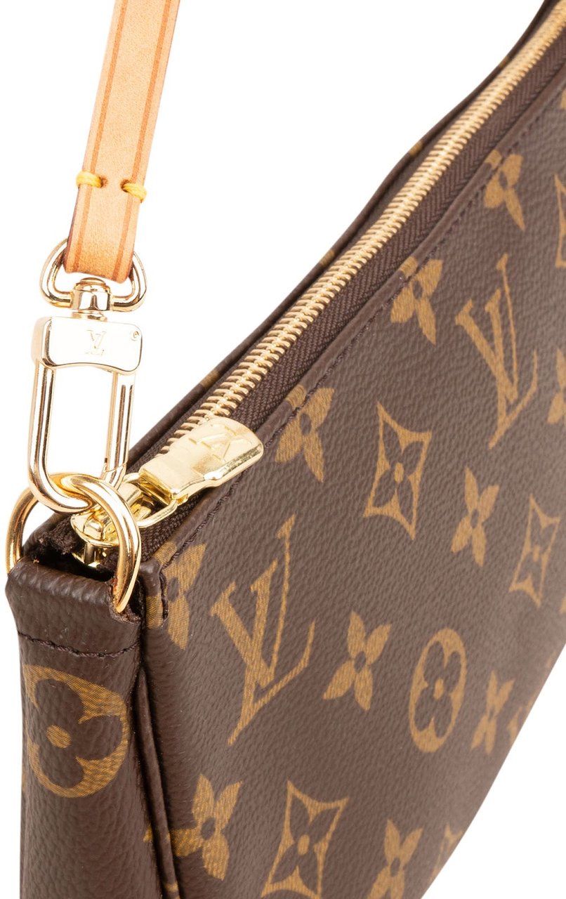 Louis Vuitton Monogram Canvas Pochette Accessoires Handbag Bruin