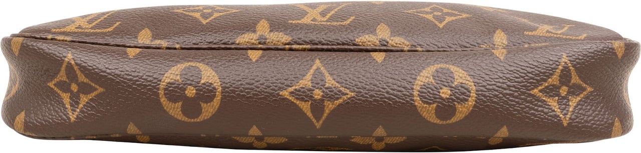Louis Vuitton Monogram Canvas Pochette Accessoires Handbag Bruin