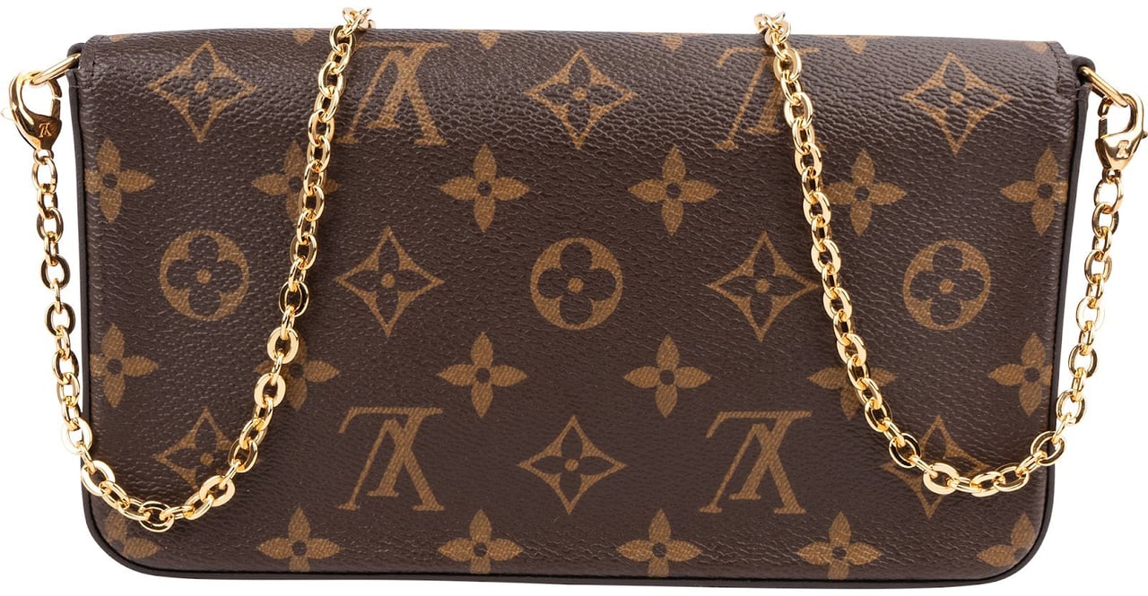 Louis Vuitton Monogram Canvas Félicie Vivienne Illustre Great China Wall Pochette Accessoires Crossbody Bag Bruin