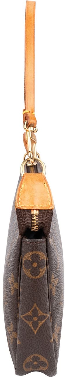 Louis Vuitton Monogram Canvas Pochette Accessoires Handbag Bruin