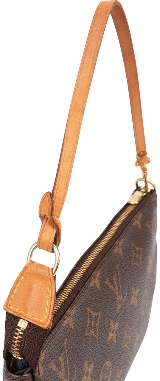 Louis Vuitton Monogram Canvas Pochette Accessoires Handbag Bruin