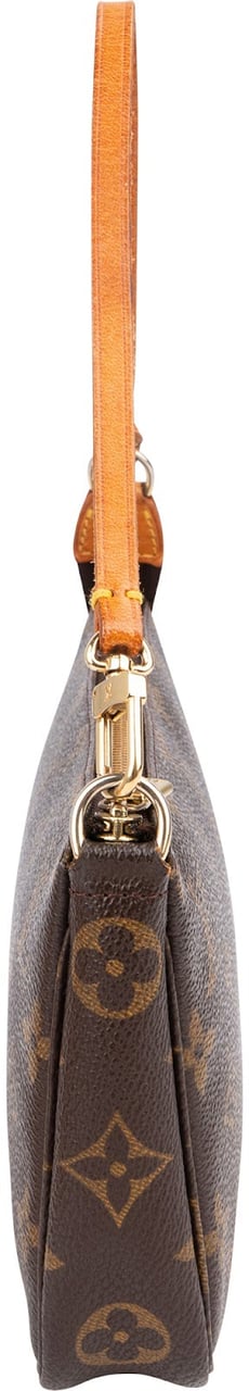 Louis Vuitton Monogram Canvas Pochette Accessoires Handbag Bruin