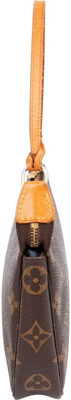 Louis Vuitton Monogram Canvas Pochette Accessoires Handbag Bruin