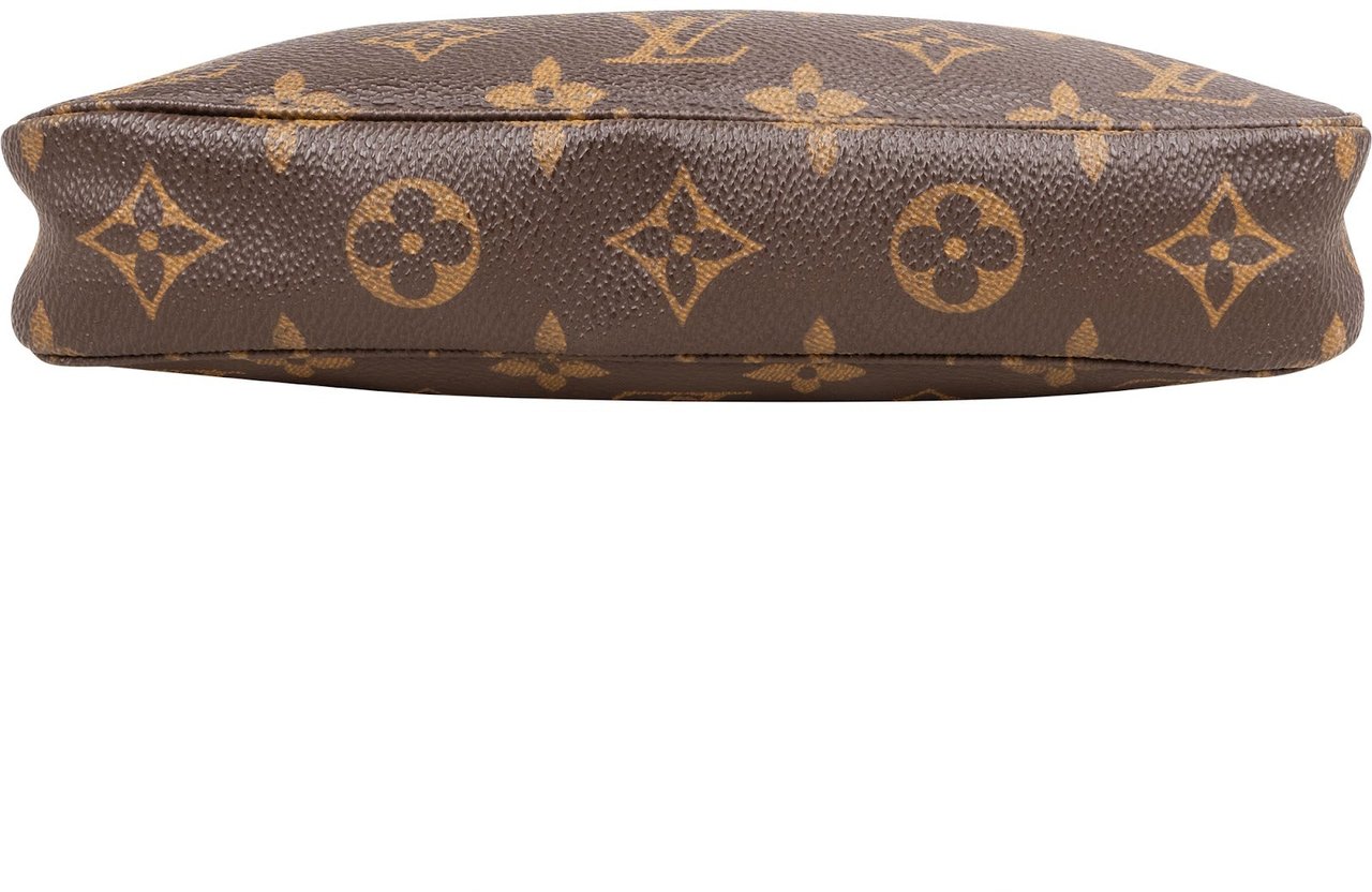 Louis Vuitton Monogram Canvas Pochette Accessoires Handbag Bruin