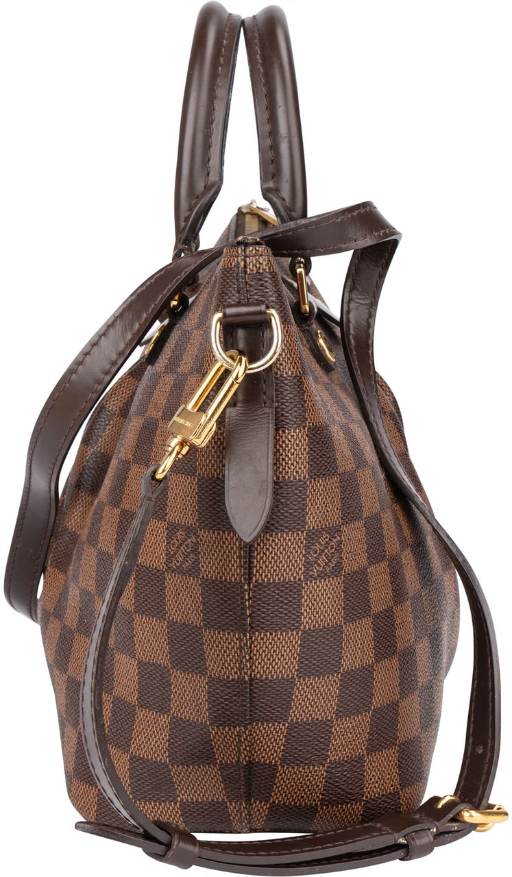 Louis Vuitton Louis Vuitton Damier Ebene Monogram Siena PM Handbag Bruin