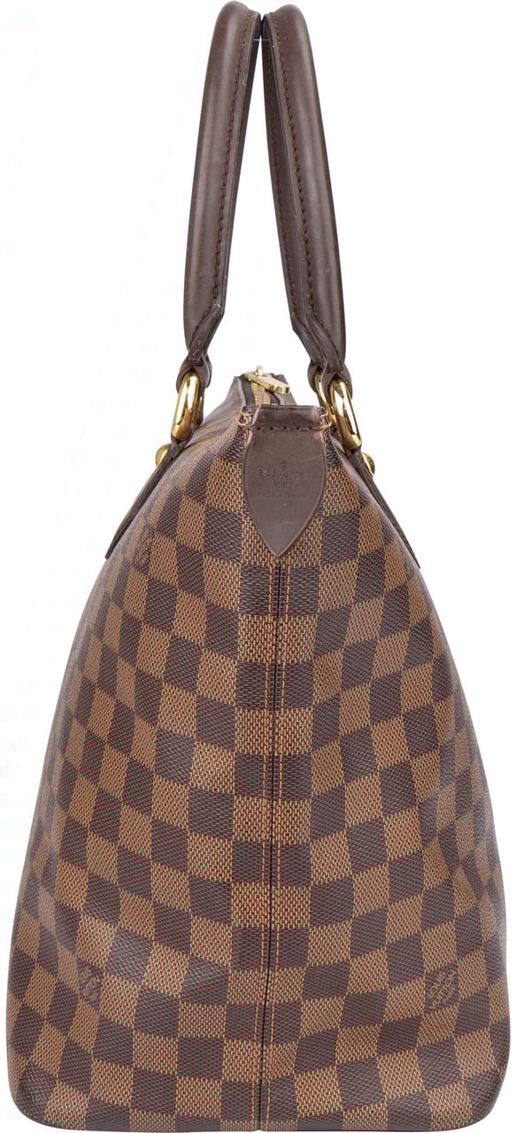 Louis Vuitton Louis Vuitton Damier Ebene Monogram Saleya MM Handbag Bruin