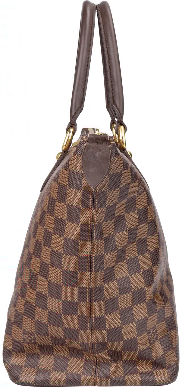 Louis Vuitton Louis Vuitton Damier Ebene Monogram Saleya MM Handbag Bruin