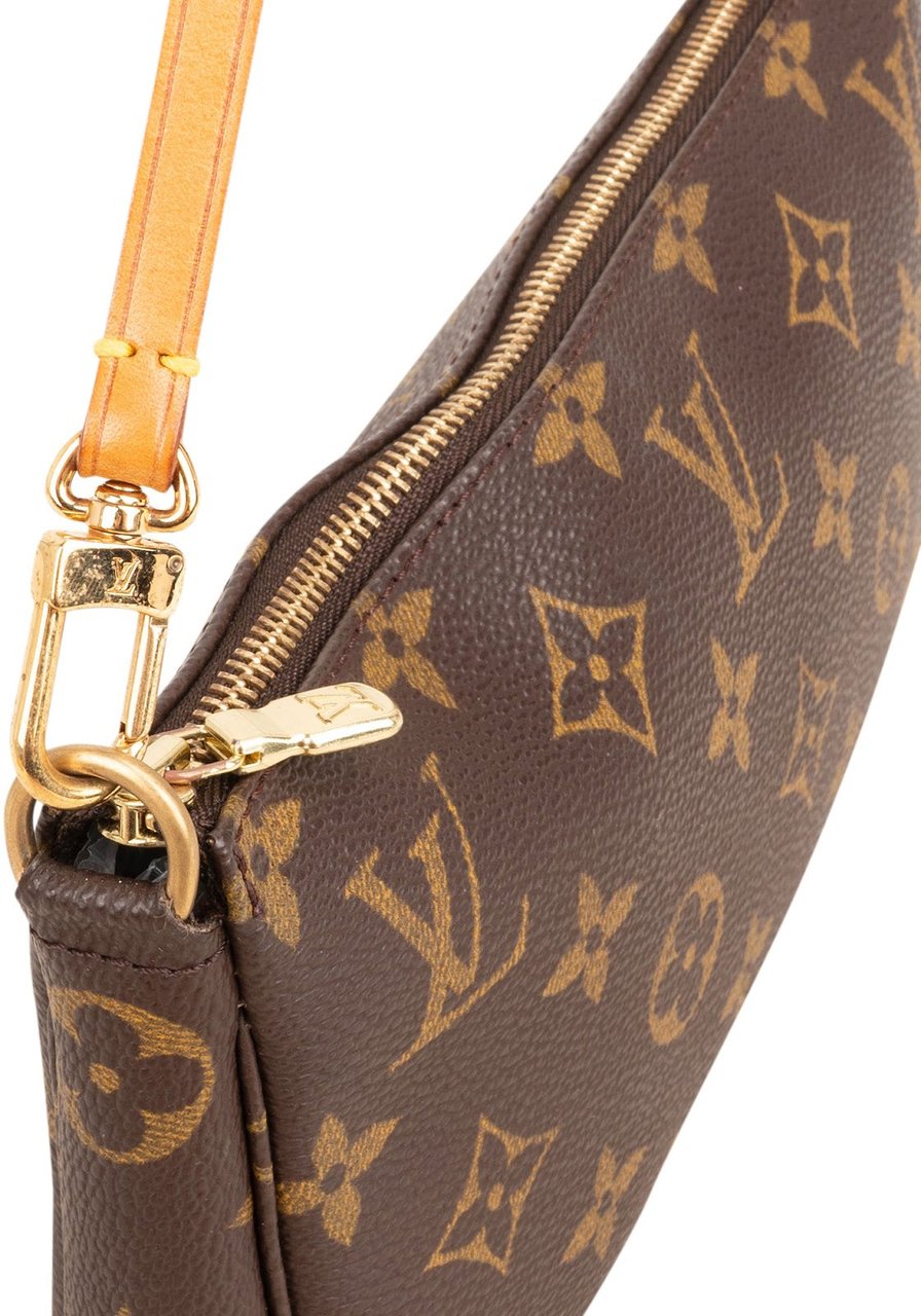 Louis Vuitton Monogram Canvas Pochette Accessoires Handbag Bruin