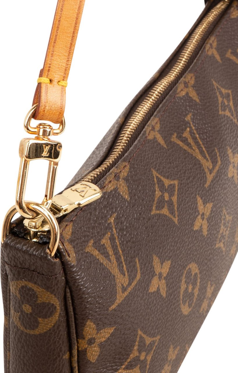 Louis Vuitton Monogram Canvas Pochette Accessoires Handbag Bruin