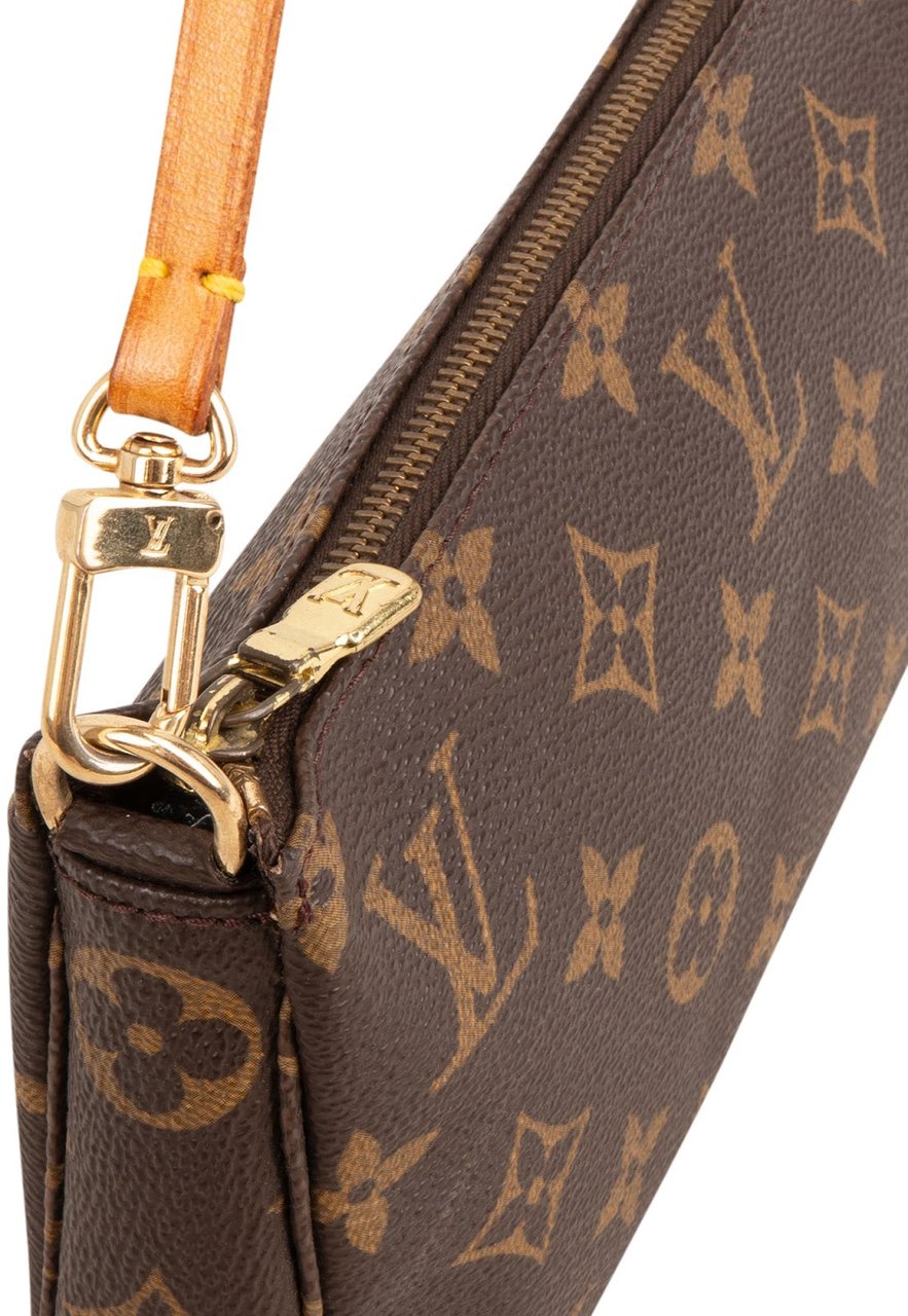 Louis Vuitton Monogram Canvas Pochette Accessoires Handbag Bruin