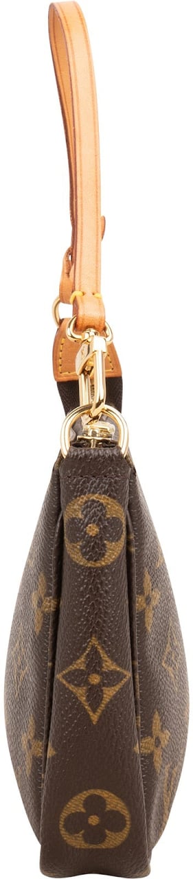 Louis Vuitton Monogram Canvas Pochette Accessoires Handbag Bruin