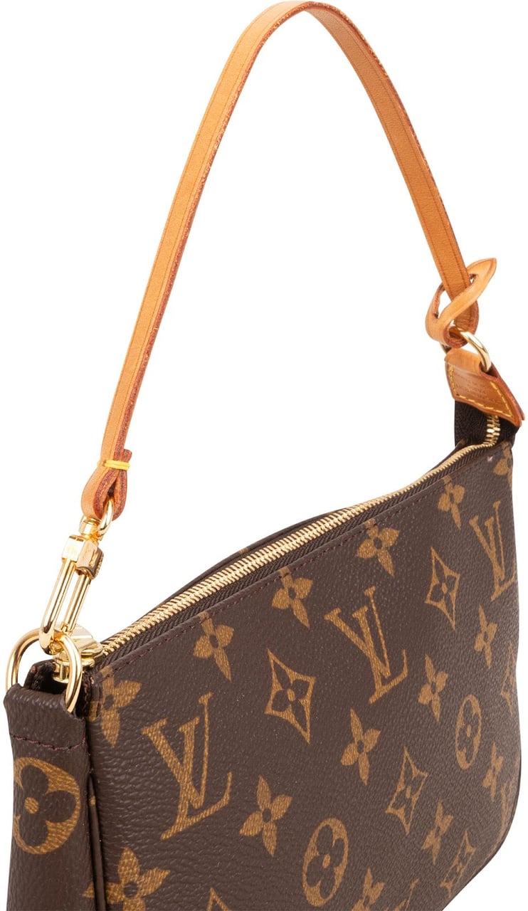 Louis Vuitton Monogram Canvas Pochette Accessoires Handbag Bruin
