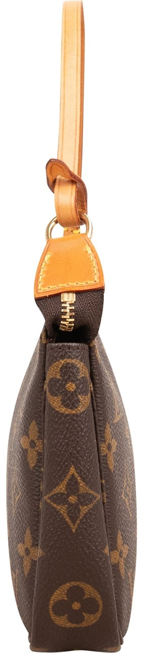 Louis Vuitton Monogram Canvas Pochette Accessoires Handbag Bruin