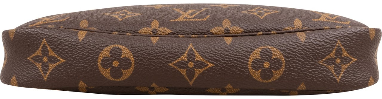 Louis Vuitton Monogram Canvas Pochette Accessoires Handbag Bruin