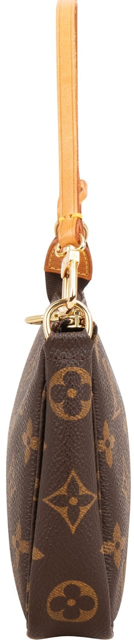 Louis Vuitton Monogram Canvas Pochette Accessoires Handbag Bruin