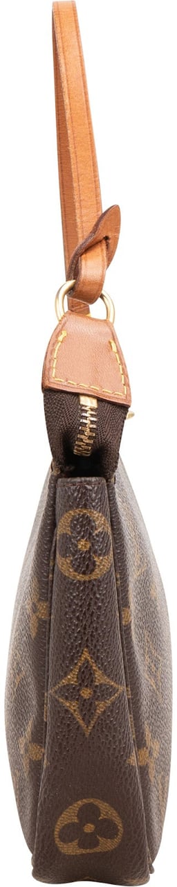 Louis Vuitton Monogram Canvas Pochette Accessoires Handbag Bruin