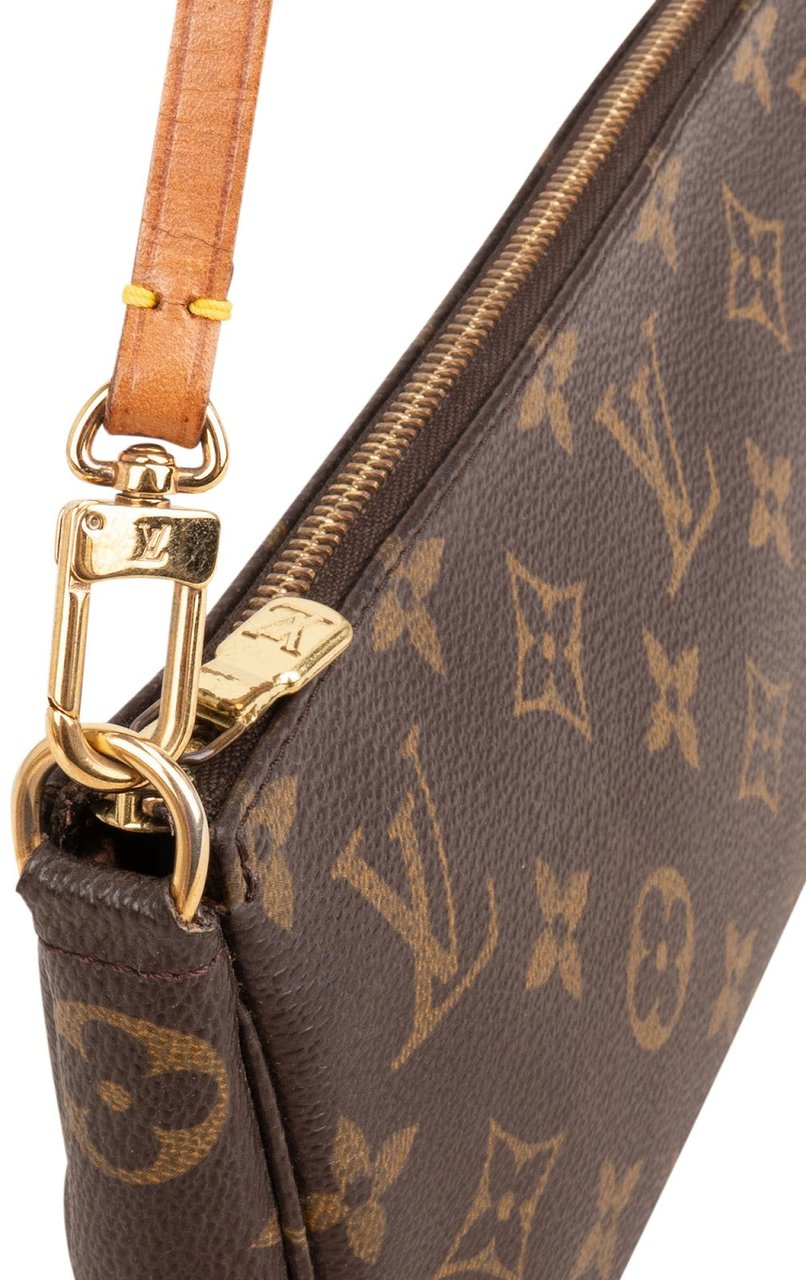 Louis Vuitton Monogram Canvas Pochette Accessoires Handbag Bruin