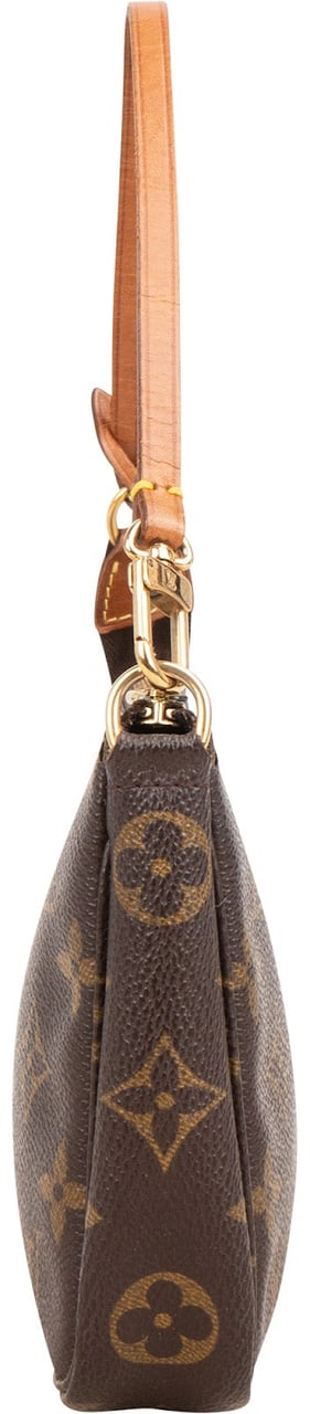 Louis Vuitton Monogram Canvas Pochette Accessoires Handbag Bruin
