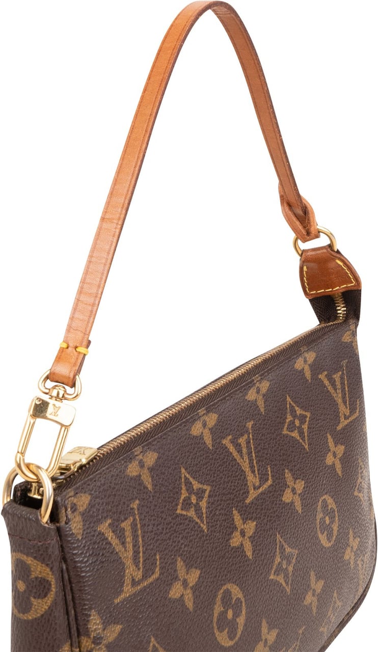 Louis Vuitton Monogram Canvas Pochette Accessoires Handbag Bruin