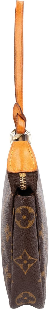 Louis Vuitton Monogram Canvas Pochette Accessoires Handbag Bruin