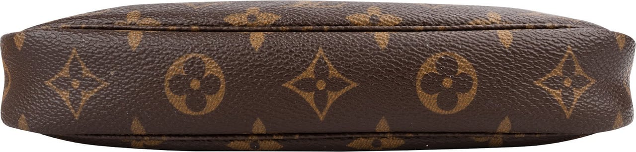 Louis Vuitton Monogram Canvas Pochette Accessoires Handbag Bruin