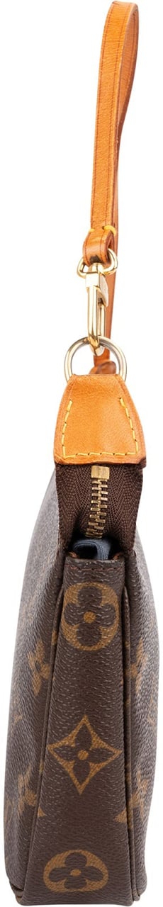 Louis Vuitton Monogram Canvas Pochette Accessoires Handbag Bruin