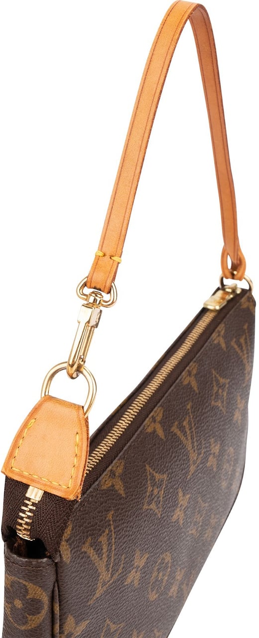 Louis Vuitton Monogram Canvas Pochette Accessoires Handbag Bruin