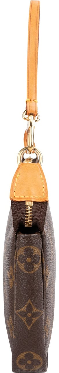Louis Vuitton Monogram Canvas Pochette Accessoires Handbag Bruin