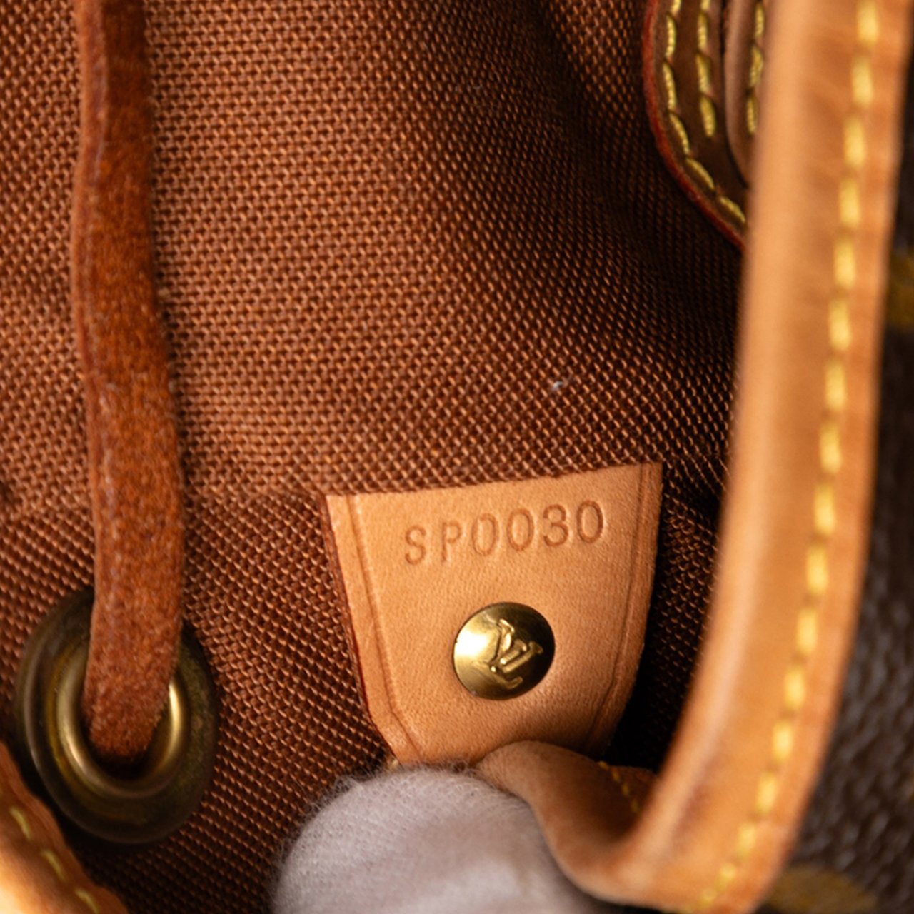 Louis Vuitton Monogram Montsouris MM Bruin