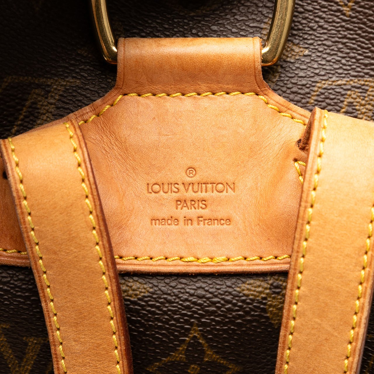 Louis Vuitton Monogram Montsouris MM Bruin