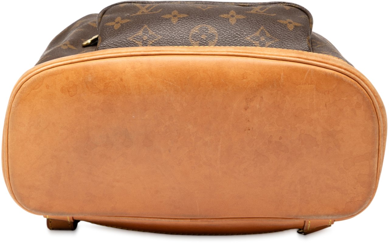 Louis Vuitton Monogram Montsouris MM Bruin