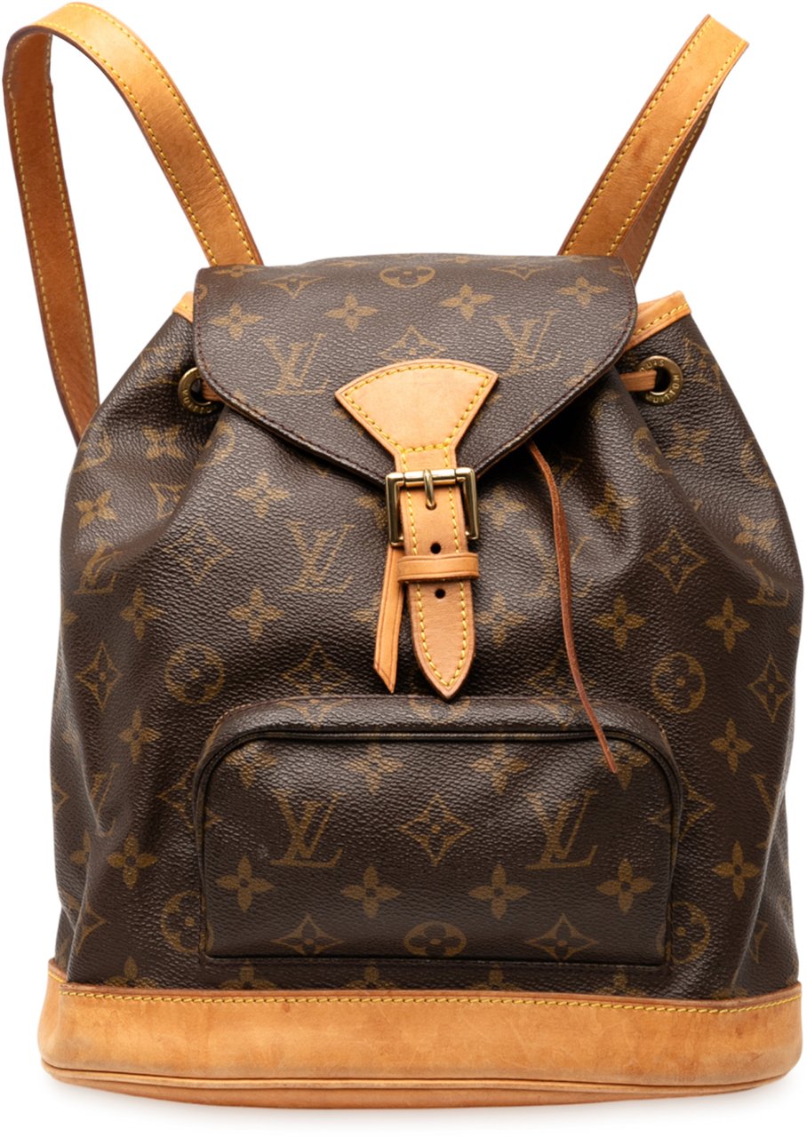 Louis Vuitton Monogram Montsouris MM Bruin